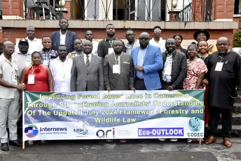 facilitators and trainees at forest governance reporting training
